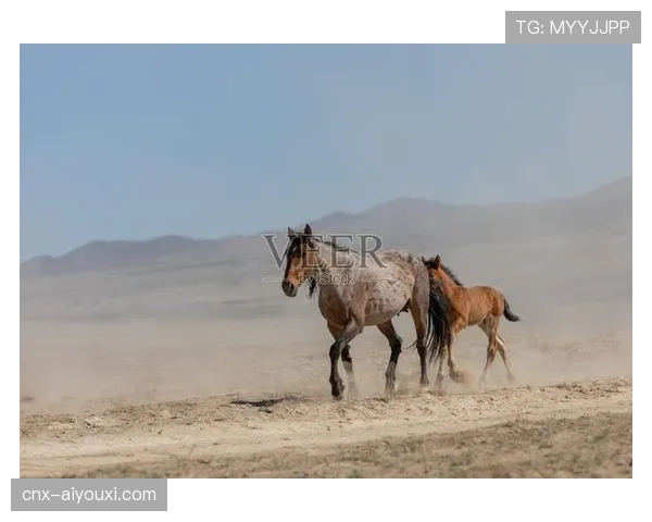 美联格局生变 小马稳居第一野马崛起比尔遭遇波动
